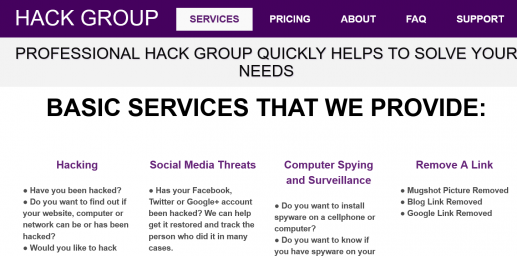 PROFESSIONAL HACK GROUP
